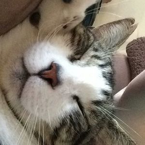 Meet your Posher, Tracy